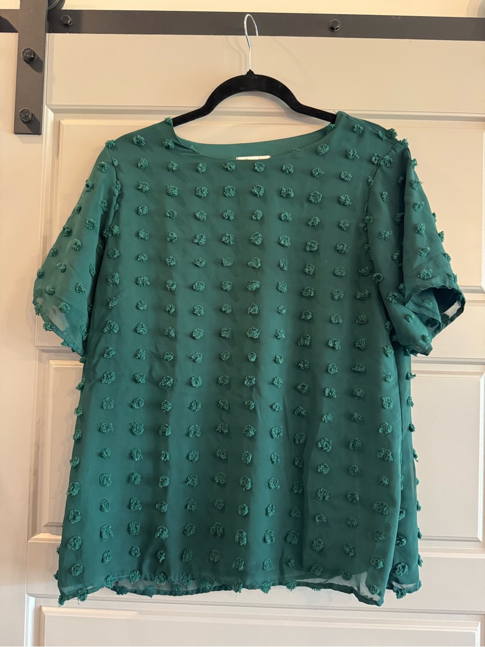 Textured Dot Short Sleeve Blouse in Teal Green